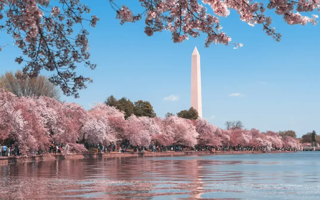 FinCEN Real Estate Reporting: What the New Federal Rule Means for Buyers, Sellers, and Agents in Southwest Florida